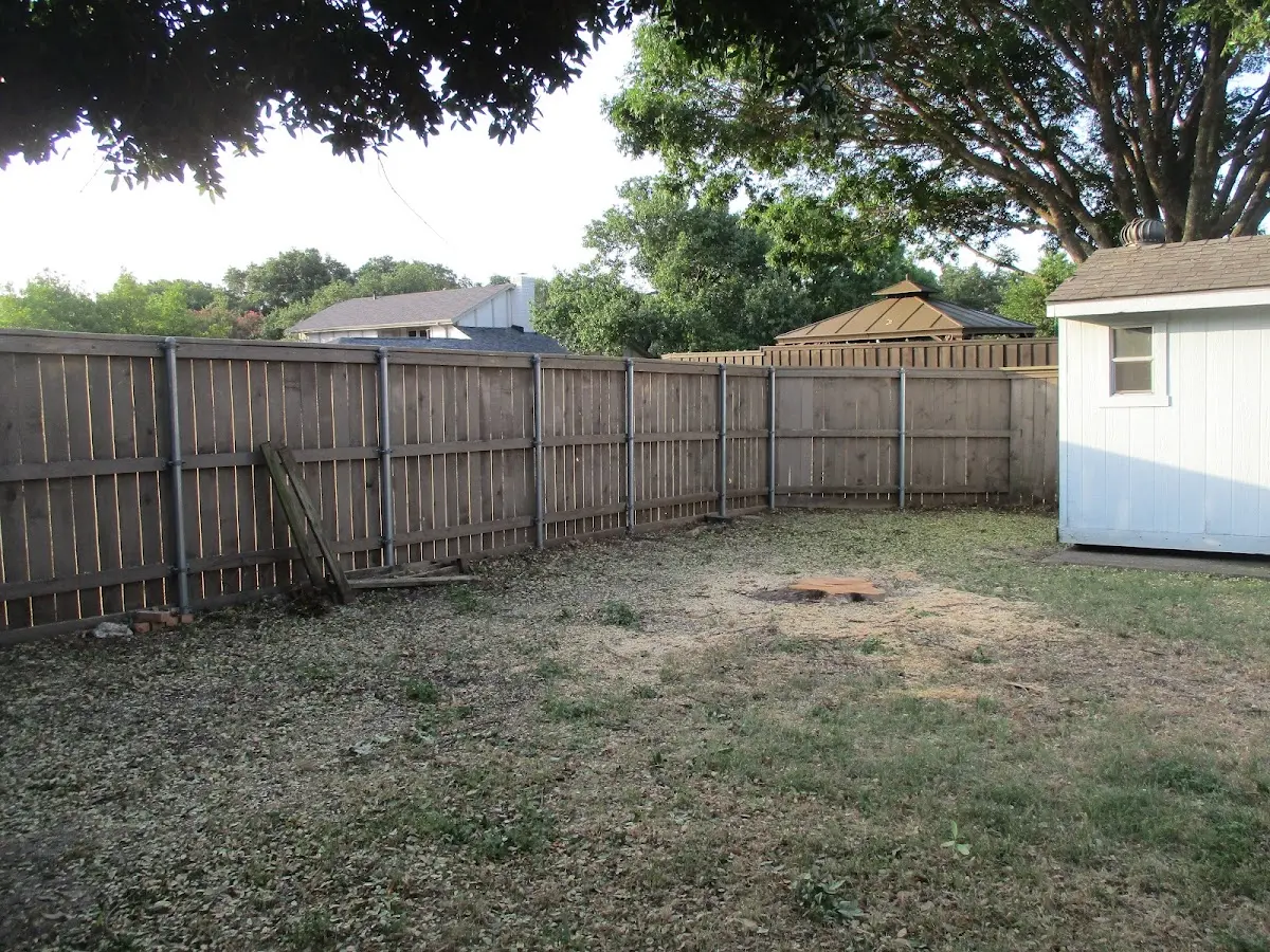 Cleared yard after professional tree removal in Decherd