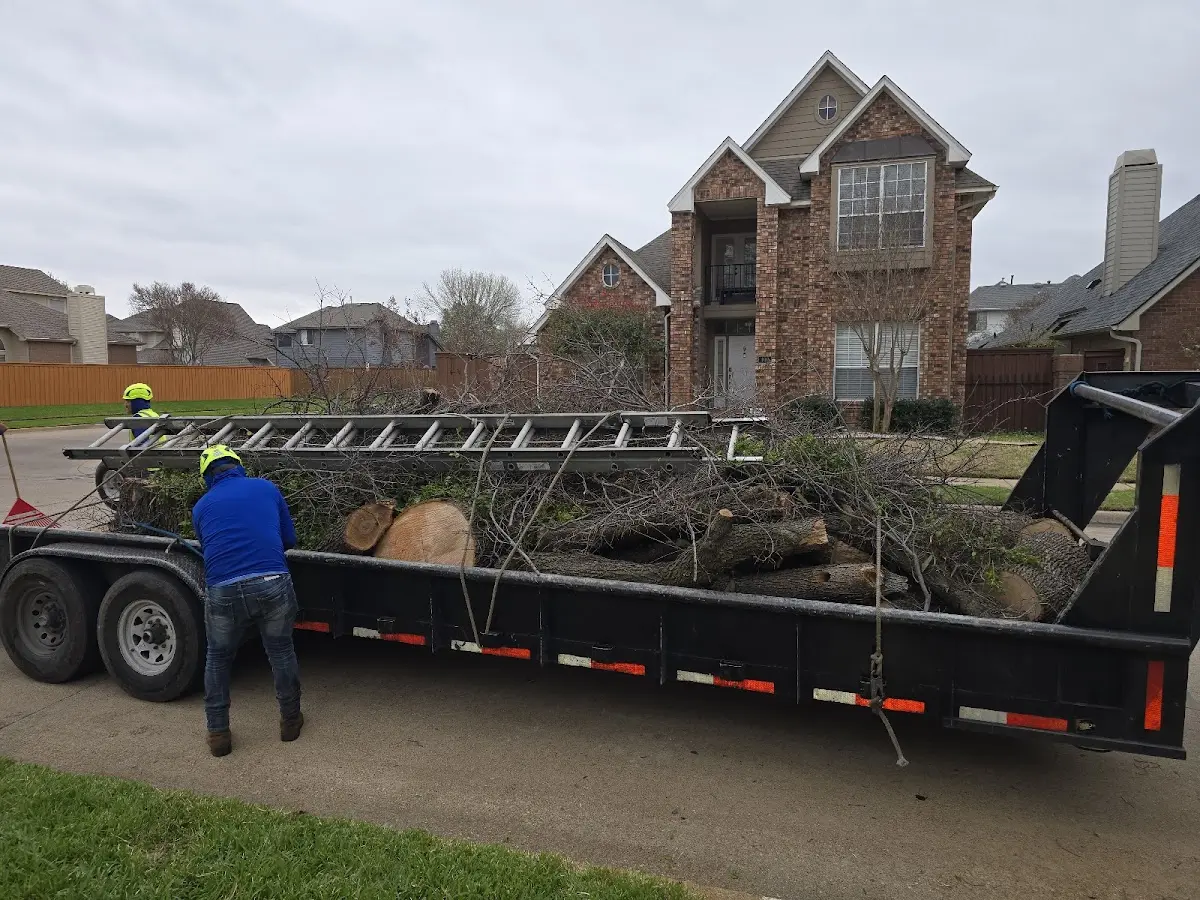 Expert Lot Clearing with proper safety equipment in Decherd